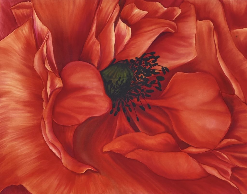 Poppy painted by Zen no resist method