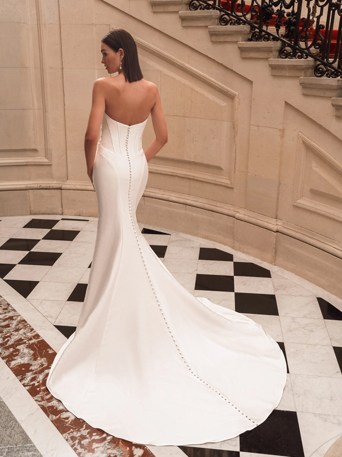 original dress back view 