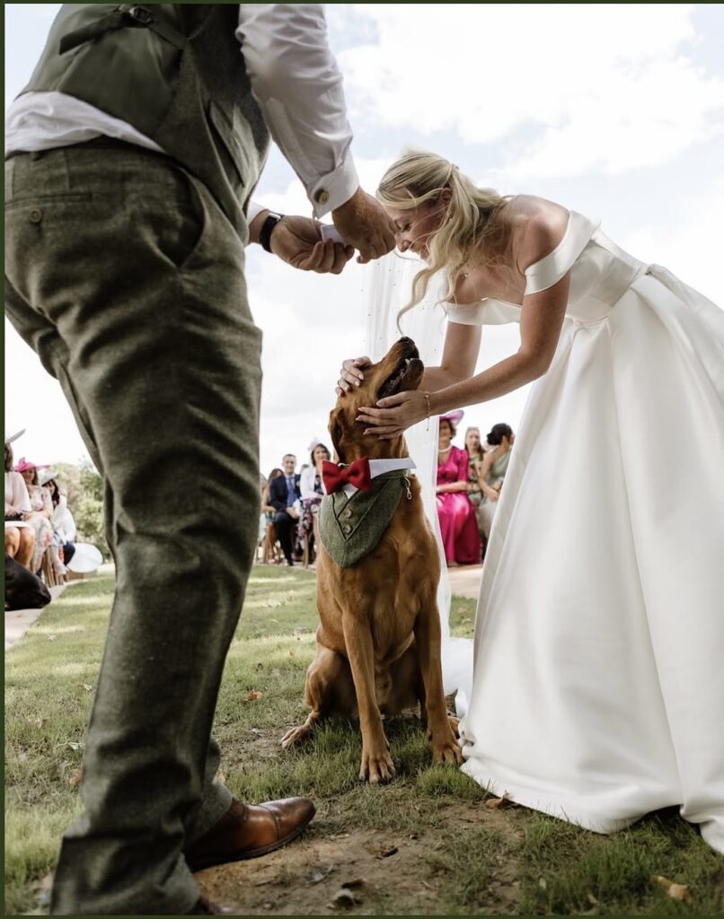 Bride greeting family dog during outdoor wedding ceremony
