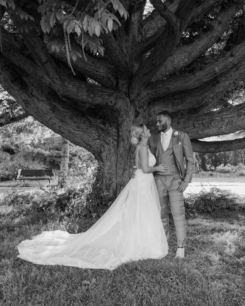 hug under the tree